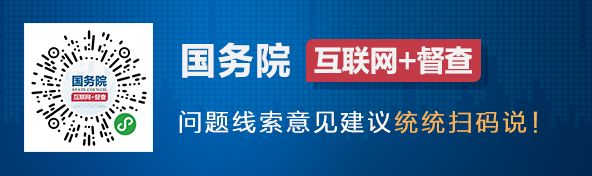 國務院“互聯(lián)網(wǎng)+督查”