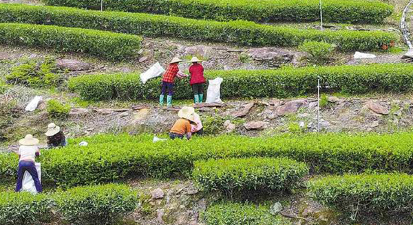 梅州市梅江區(qū)：產(chǎn)業(yè)強(qiáng)區(qū)蓄動(dòng)能 筑牢發(fā)展硬支撐