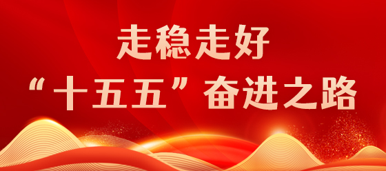 走穩(wěn)走好“十五五”奮進(jìn)之路